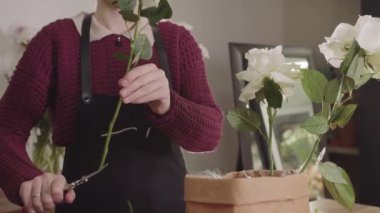 Önlüklü bir kadın çiçek kesiyor.