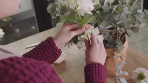 Una Mujer Arreglando Flores Jarrón Sobre Una Mesa — Vídeo de stock