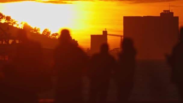 Μια Ομάδα Ανθρώπων Που Περπατούν Στο Δρόμο Ηλιοβασίλεμα — Αρχείο Βίντεο