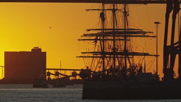 Ένα Ψηλό Πλοίο Που Πλέει Στον Ωκεανό Ηλιοβασίλεμα — Αρχείο Βίντεο