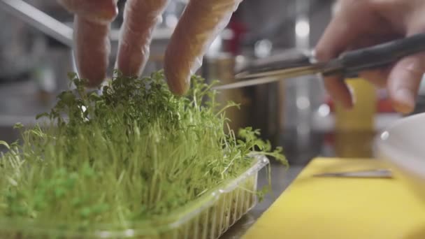 プラスチック容器のパーソナルカッティングプラント レストランで料理のプロセス クローズアップ — ストック動画