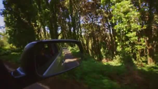 車は背景に森がある道路を運転しています ドライバーがリアビューミラーを見ている — ストック動画