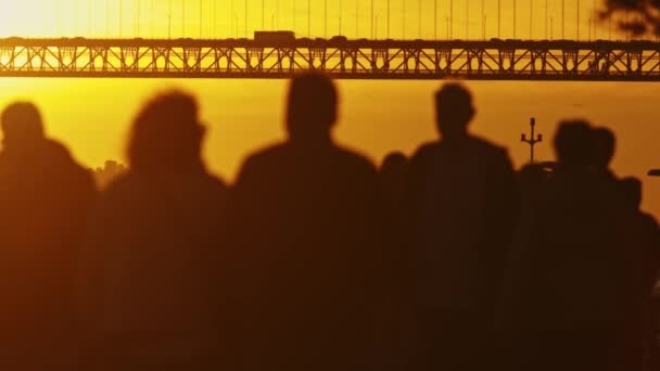 一群不同的人一起站在塔古斯河上一座桥的前面 向外看风景 — 图库视频影像