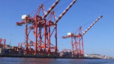 21 Haziran 2024, Lizbon, Portekiz - Biri kırmızı ve beyaz iki turna suda