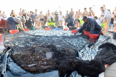 Portekizli balıkçılar - bir denizci - bir grup denizci, taze balıklı büyük bir su kütlesinin etrafında toplanırlar. Sahne, insanların suyun etrafında durduğu bir balıkçılık olayına benziyor.