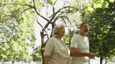 Üst düzey çiftler güneşli bir parkta yürümekten hoşlanırlar, yürürken el kol hareketi yaparlar ve sohbet ederler.