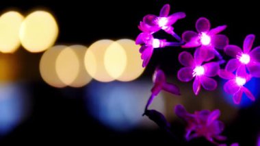 Küçük ışıklı mor plastik çiçekler geceleri rüzgârda sallanıyor ve arka planda odak dışı şehir ışıkları var.