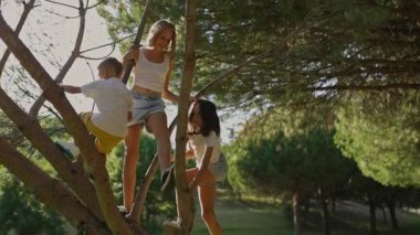 Mutlu bir aile parkta oynuyor ve ağaca tırmanıyor.