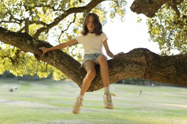 Güneşli bir parkta ağaç dalında oturan genç bir kız.