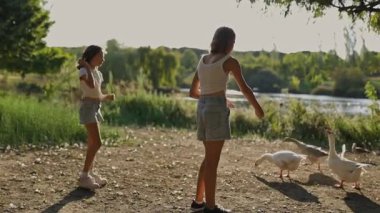 Çocuklar, parlak ve güneşli bir günde, doğal ortamın tadını çıkaran, manzaralı bir nehir kenarındaki kazlarla meşgul olurlar.