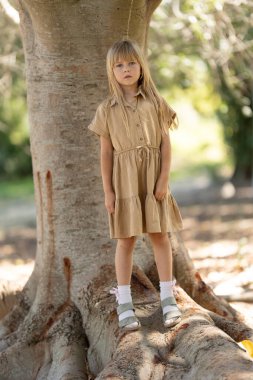 Kahverengi elbiseli sarışın kız güneşli bir parkta ağaç kökleri üzerinde duruyor.