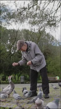 Huzurlu bir park ortamında kıdemli adam kuşları besliyor.