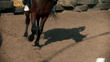 Açık hava binicilik sahasında kumların üzerinde koşan kahverengi at bacakları