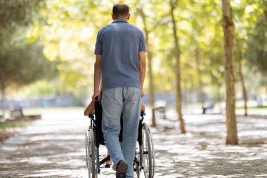 Hemşire yaşlı bir kadına tekerlekli sandalyede yardım ediyor, güneşli bir parkta geziniyor.