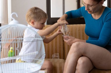 Anne ve oğul muhabbet kuşlarını beslemek için küçük bir kaseye kuş yemi döküyorlar.