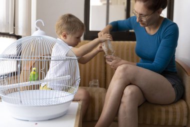 Anne ve oğlu, yeşil muhabbet kuşunu beslemek için bir kaseye tohum döküyorlar.