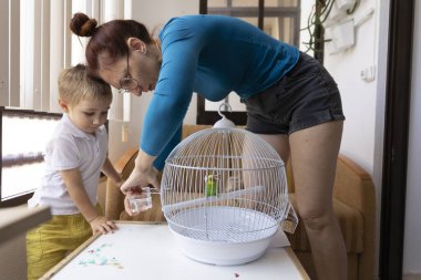 Anne ve oğul evcil papağanlarına bakıyorlar, beyaz bir kafeste suyunu değiştiriyorlar.
