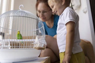 Mutlu bir aile evdeki kafeste muhabbet kuşlarına hayran.