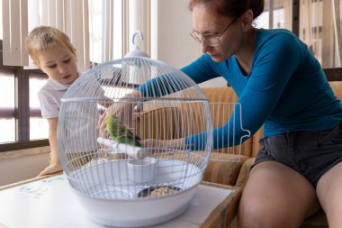 Anne ve oğul evcil muhabbet kuşlarına kafesinin içinde bakıyorlar, su ve yiyecek değiştiriyorlar.