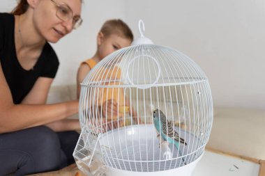 Anne ve oğul evdeki kafesinde mavi muhabbet kuşlarıyla ilgileniyorlar.