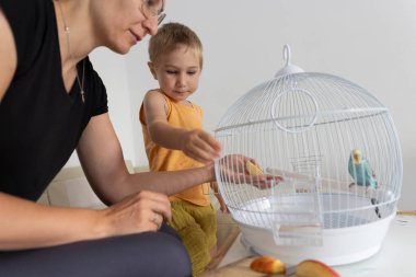 Anne ve oğul, kafesteki küçük bir papağanı bir dilim elmayla besliyor. Aile bağlarını ve hayvan bakımını destekliyor.
