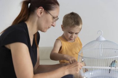 Anne ve oğul kuş kafesini dikkatlice temizler. Evcil hayvanlarına sevgi, ilgi ve sorumluluk gösterirler.