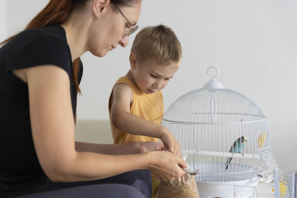 Mother and son preparing bird food, taking care of their pet parrot
