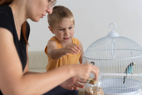 Mother pouring birdseed into her sons hand while feeding their pet budgie in its cage