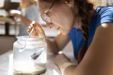 İçinde renkli betta balığı bulunan akvaryumu temizlemek için kaşık kullanan bir kadın.