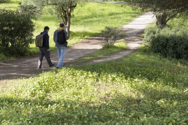 Sırt çantalı iki erkek turist, yemyeşil ve ağaçlarla çevrili bir parkta rahatça yürüyüş yapıyorlar.