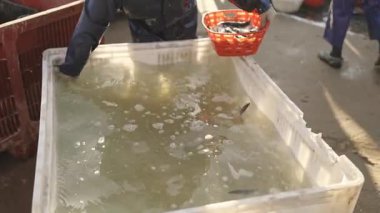 4 Temmuz 2024, Kosta da Caparica, Portekiz - Yerde büyük bir su kabı bulunuyor. Su temiz ve o soğuk.