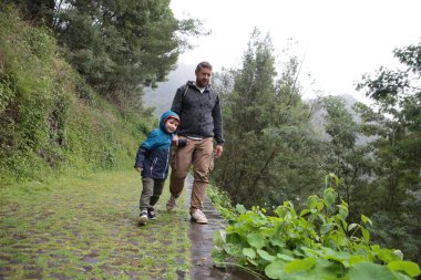 Baba ve oğul, yemyeşil bir ormanda kaldırım taşı yolunda yürüyüş yapıyorlar.