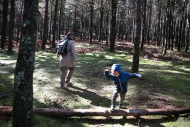 Baba, güneşli ormanda yürürken oğlunu seyredecek.