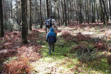 Baba ve oğul güneşli orman yolunda huzurlu bir yürüyüş yapıyorlar.