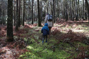 Baba ve oğul, canlı yeşil yosunlar ve uzun ağaçlarla çevrili sakin bir ormanda sakin bir yürüyüş yapıyorlar.