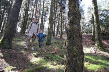 Baba ve oğul canlı yeşil yosunlarla kaplı sakin bir orman yolunda sakin bir yürüyüş yapıyorlar.