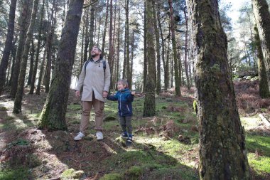 Baba ve oğul el ele tutuşup güneşli ormanı keşfediyor, birlikte doğanın tadını çıkarıyorlar.