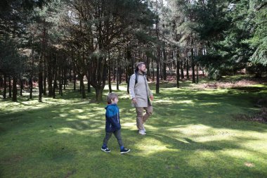 Baba ve oğul sakin, güneşli bir ormanda yürüyorlar, doğada birlikte güzel vakit geçiriyorlar.