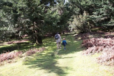 Baba ve oğul canlı yeşil yosunlarla kaplı sakin bir orman yolunda rahatça geziniyorlar.
