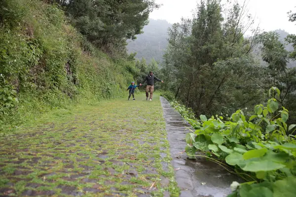 Babalar ve çocuklar yağmura rağmen doğa tarafından çevrelenmiş eski bir kaldırım taşından yolda yürüyorlar.