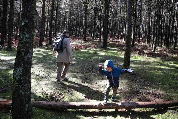 Baba, güneşli ormanda yürürken oğlunu seyredecek.