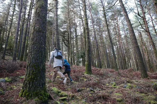 Baba ve oğul güzel bir çam ormanında yokuş yukarı yürümenin keyfini çıkarıyorlar.