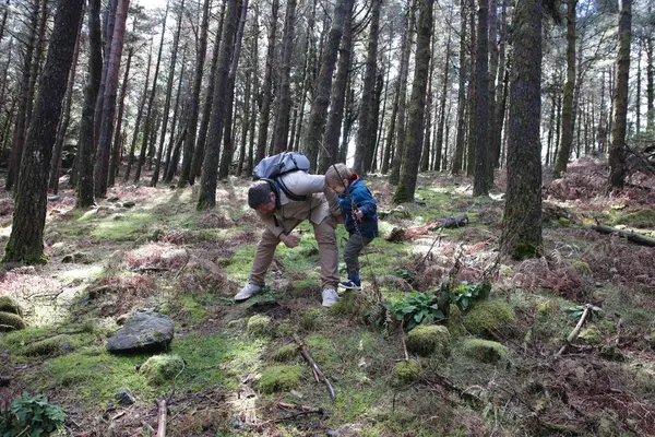 Baba ve oğul eğilmiş, güneşli bir çam ormanında bitkileri ve yosunları keşfediyor, doğa yürüyüşünün tadını çıkarıyor.