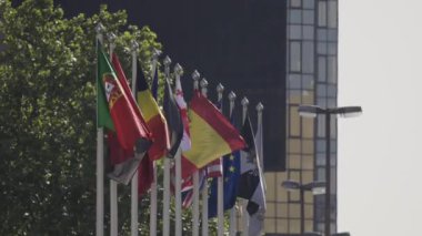 Rüzgarda dalgalanan farklı ülkelerin bayrakları