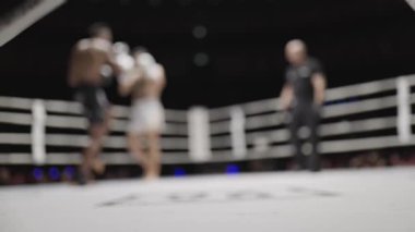 İki boksör, bir hakem tarafından yönetilen bulanık bir boks maçında yarışıyor.