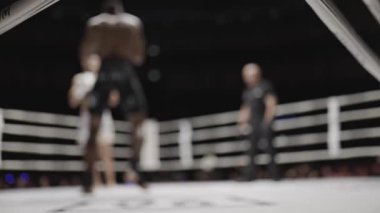 İki Muay Thai dövüşçüsü bulanık, çok panelli bir kompozisyonda yarışıyor.