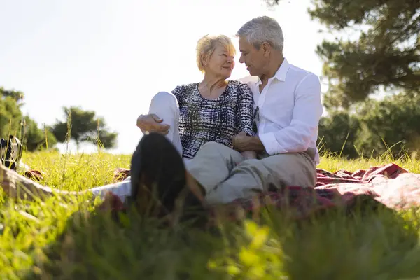 Mutlu emekli çift güneşli bir parkta romantik bir pikniğin tadını çıkarıyor, kucaklaşıyorlar ve hassas bir anı paylaşıyorlar.
