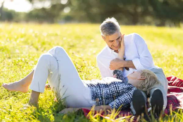 Yaşlı çift çayırda piknik yapıyor, sevgi ve mutluluk gösteriyorlar.