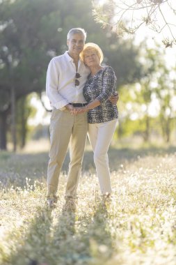 Yaşlı çift, doğada romantik bir anın tadını çıkarıyor. Altın saat boyunca kucaklaşıp el ele tutuşuyorlar.