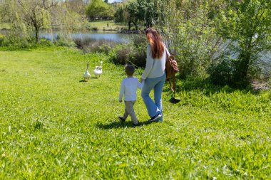 Anne ve çocuk göl kenarındaki kazlara doğru yürüyorlar.